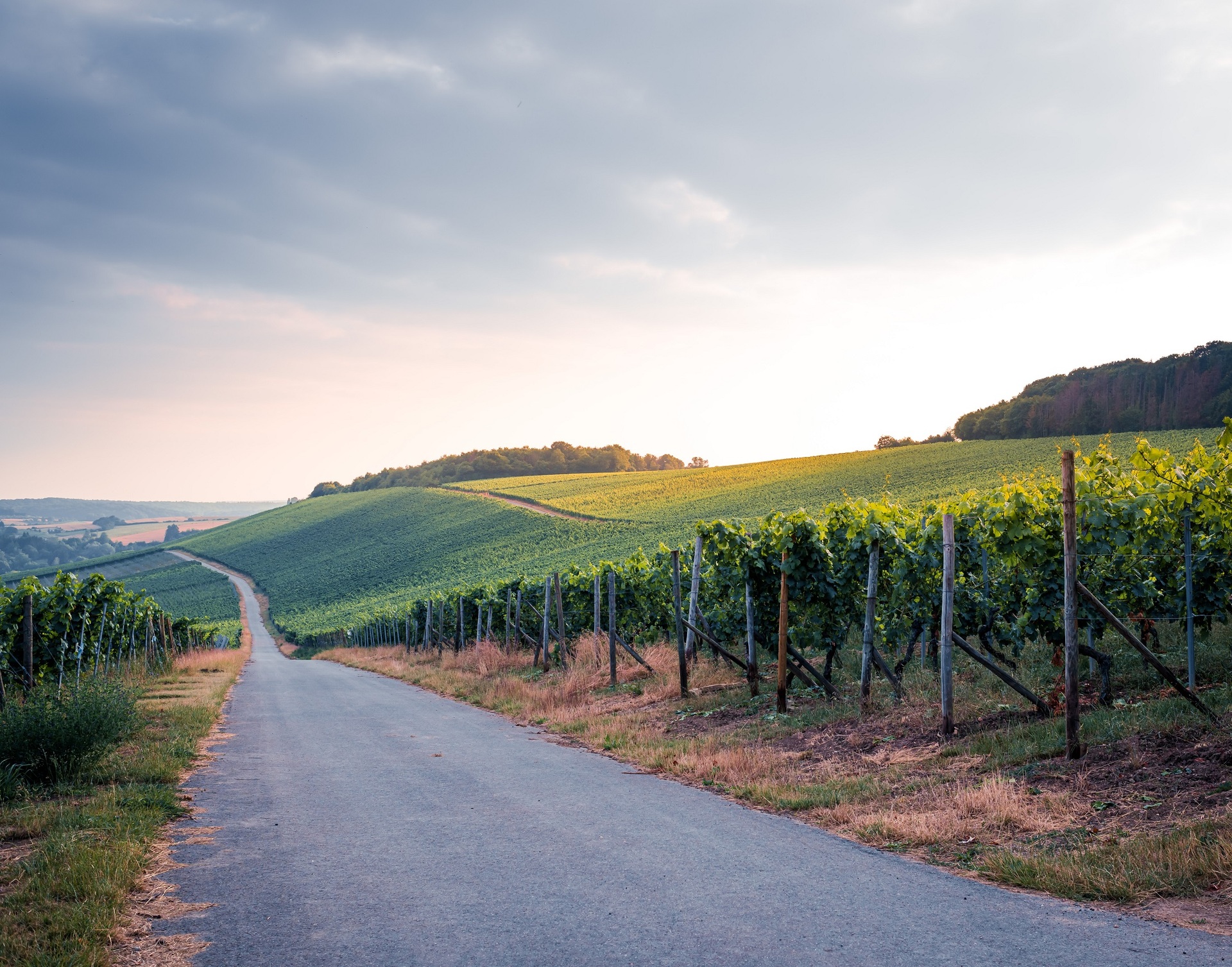 Vignerons indépendants luxembourgeois: Le vin sans alcool, "c'est un peu comme demander à un cuisinier de cuisiner sans sel"