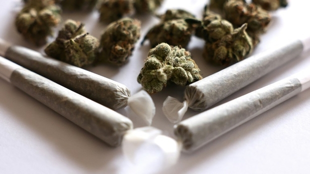 Test results highlight major risks: Dangerous synthetic cannabinoid found in cannabis buds sold legally in Luxembourg