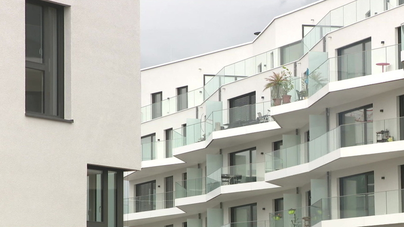 Letters: How some house owners exploit international students in Luxembourg