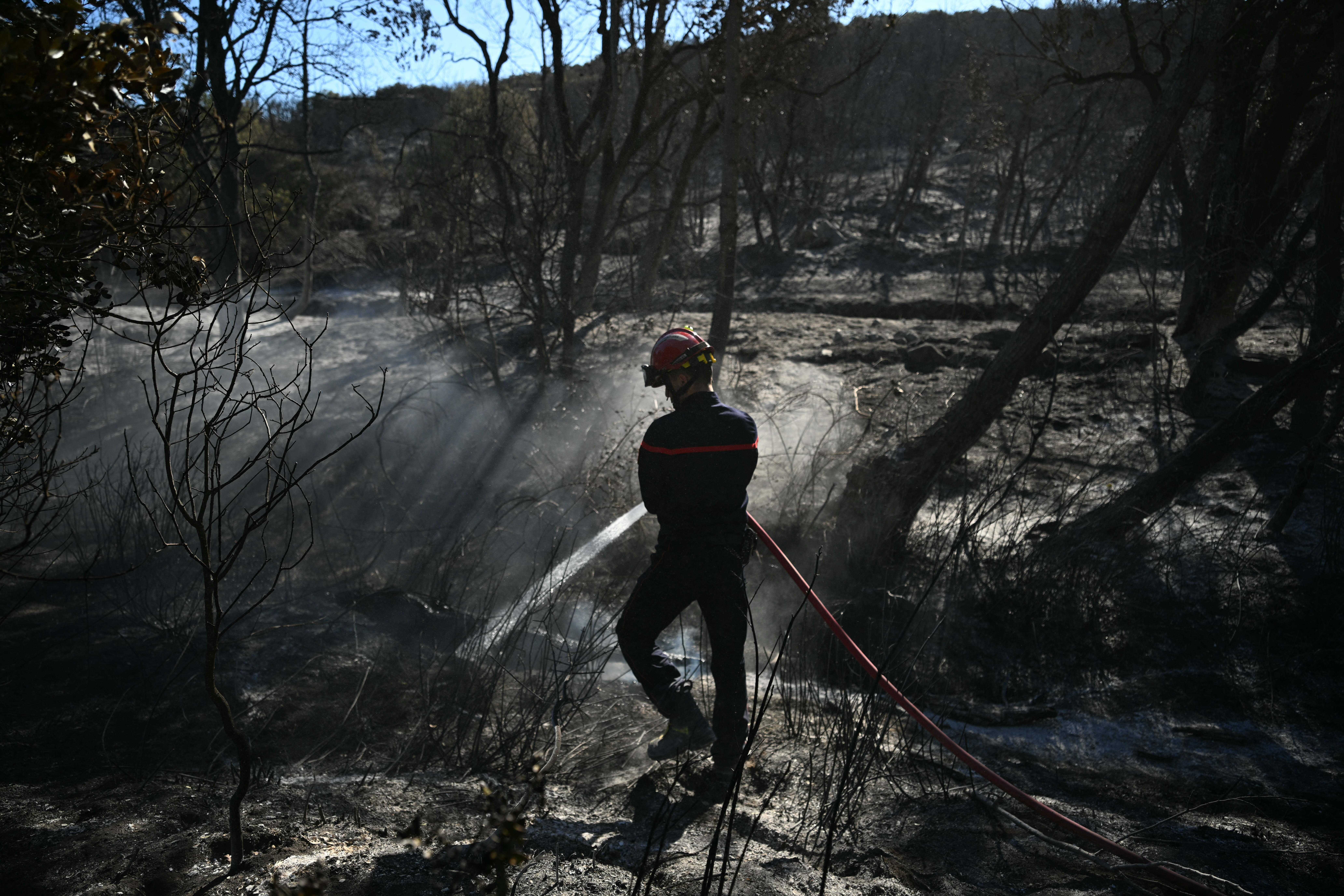 Feux de forêts et végétation: Près de 40.000 hectares brûlés en France et 111 interpellations