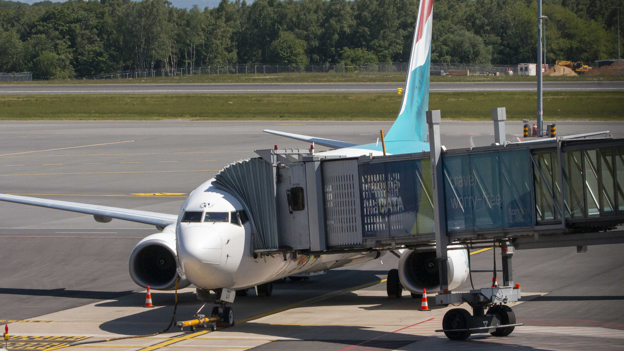 Estimated 5.5 million: Estimated 5.5 million: Findel expected to surpass last year’s passenger record