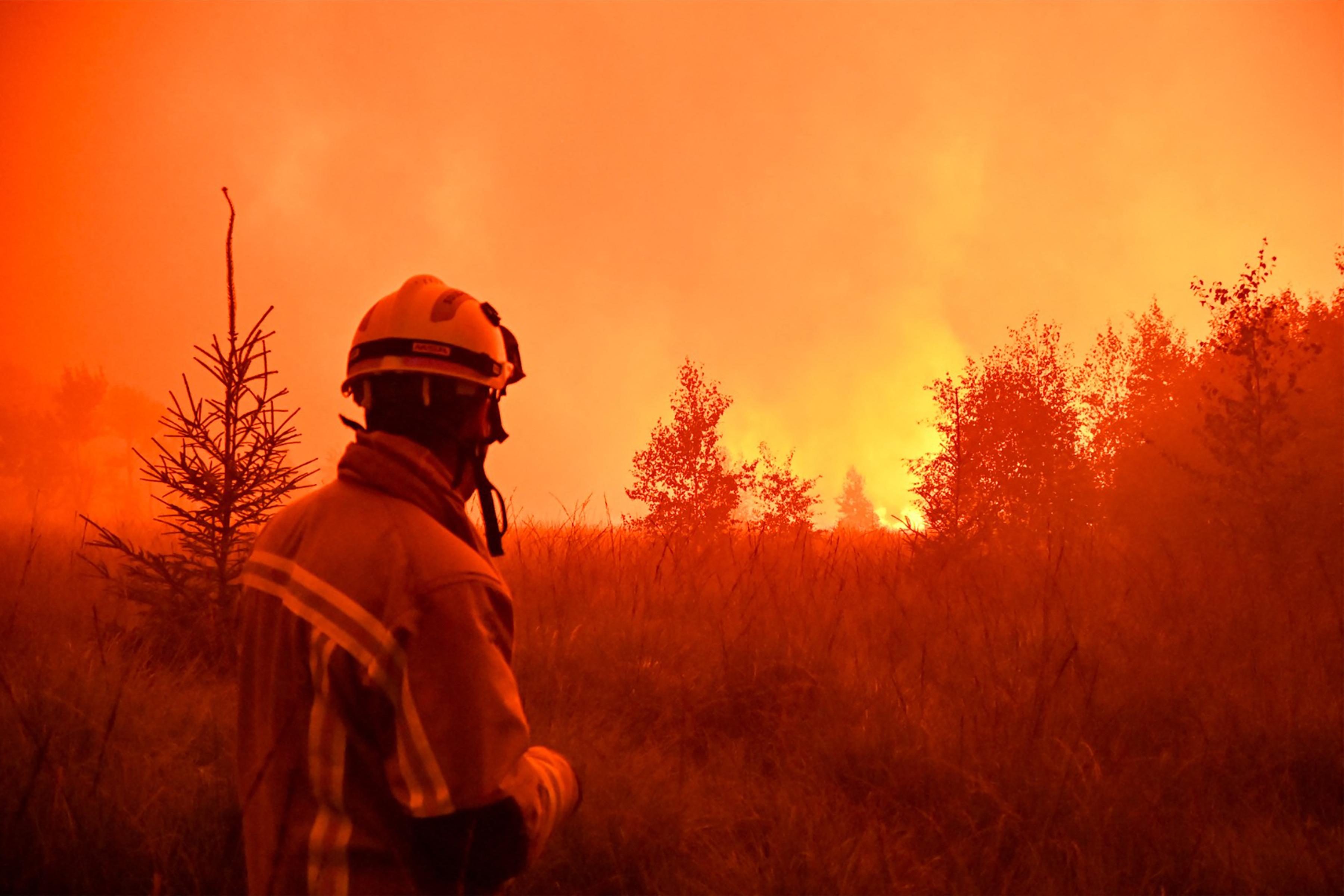 Canicules: "Le changement climatique n'est pas une fatalité, mais une opportunité", selon Serge Wilmes