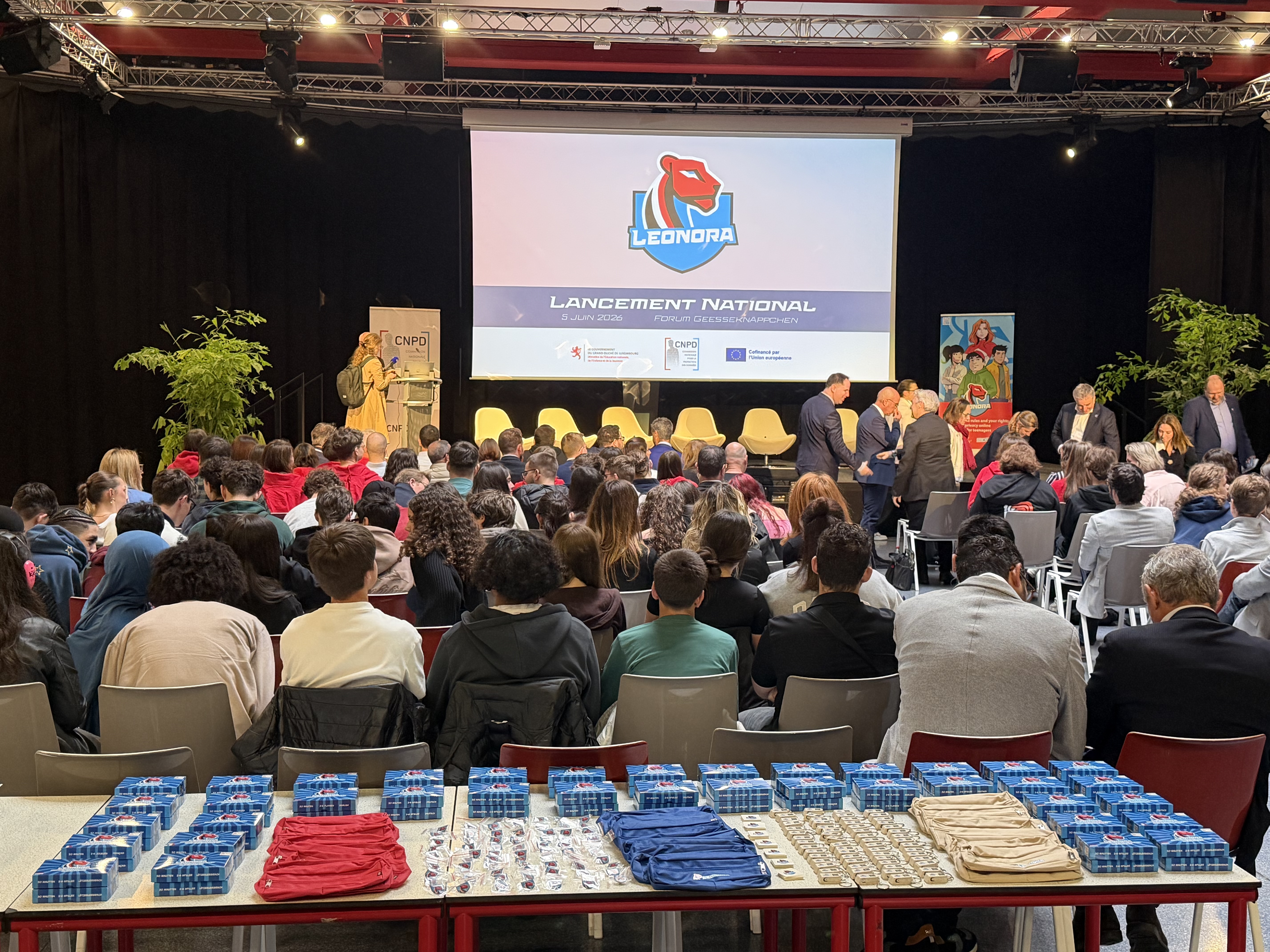 Digital BDen an en Online-Spill: Projet 