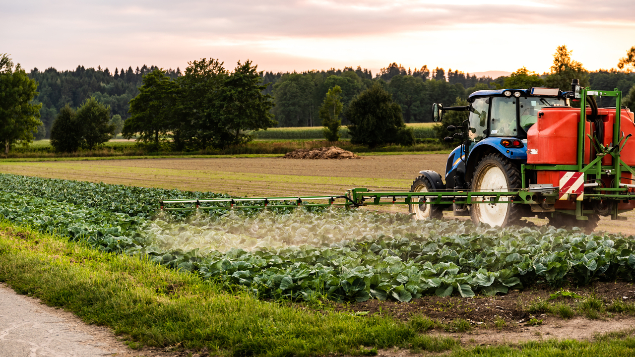 Rushed or lacking ambition?: Stakeholders question design of new organic farming plan