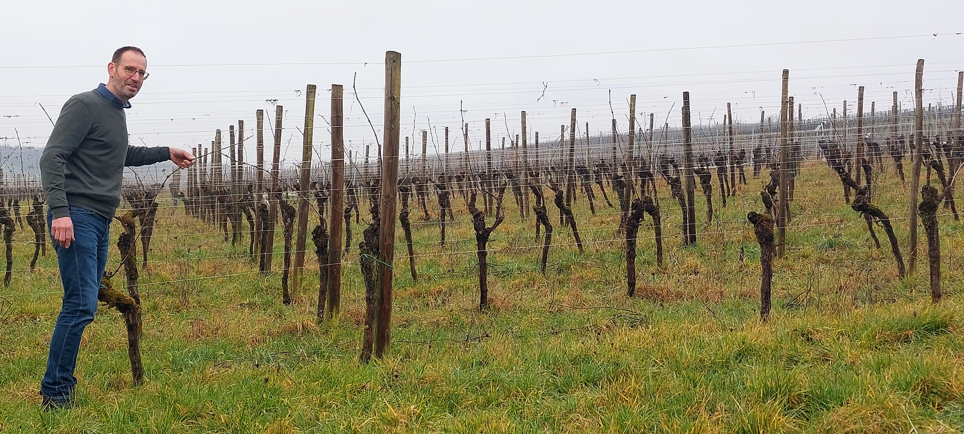 Known since the Romans: The Moselle: A landscape of extraordinary diversity