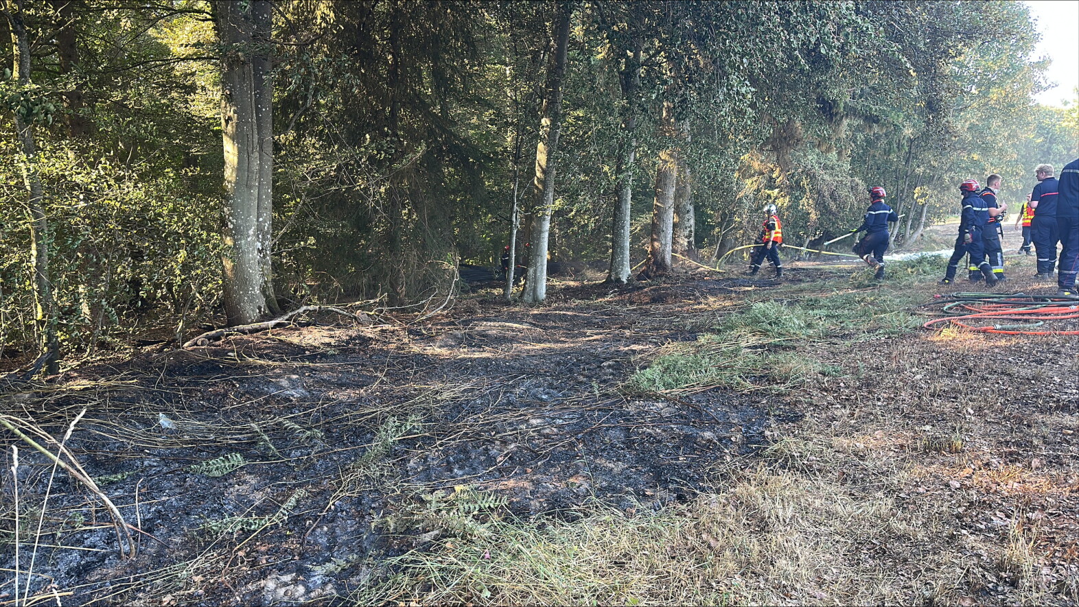 Feux de végétation durant l'été: Léon Gloden reconnaît que le risque d'incendies "a augmenté" au Luxembourg