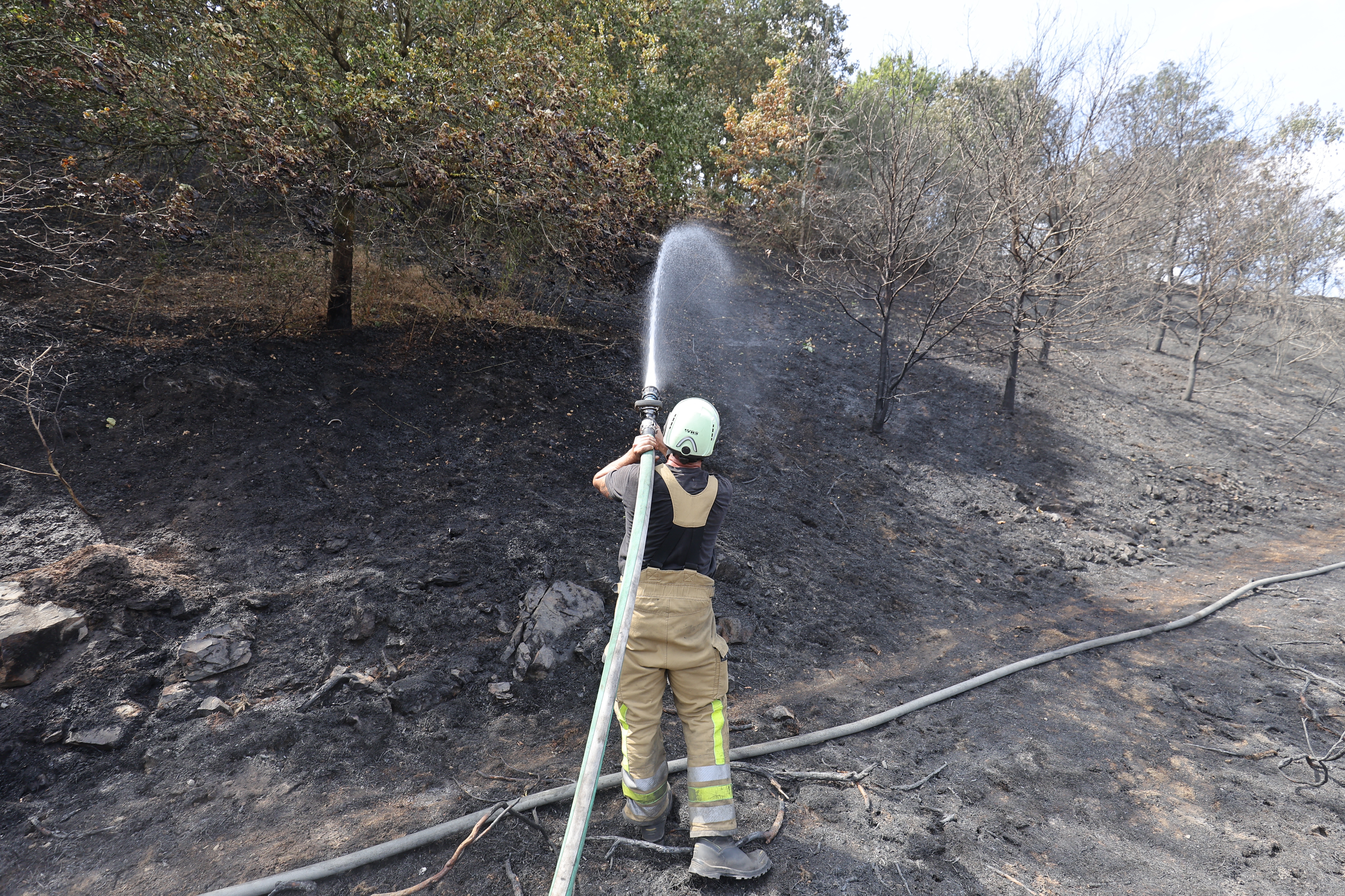 Incendies en Belgique: Déjà au moins trois camps arrêtés en province de Luxembourg