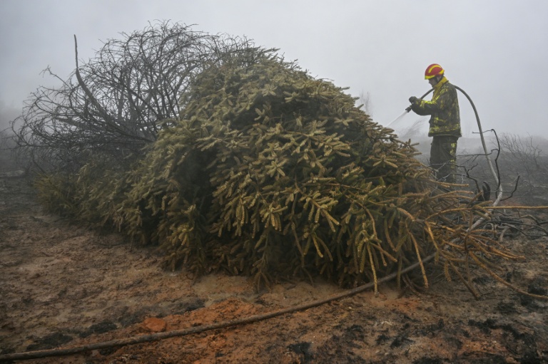 Hautes Fagnes: L'incendie a pu être "encerclé" mais la situation "reste compliquée"