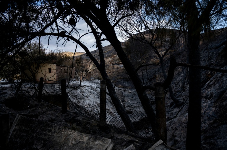 Bilan no Bëschbrand an Andalusien: Zuel vun Doudesaffer klëmmt op 13