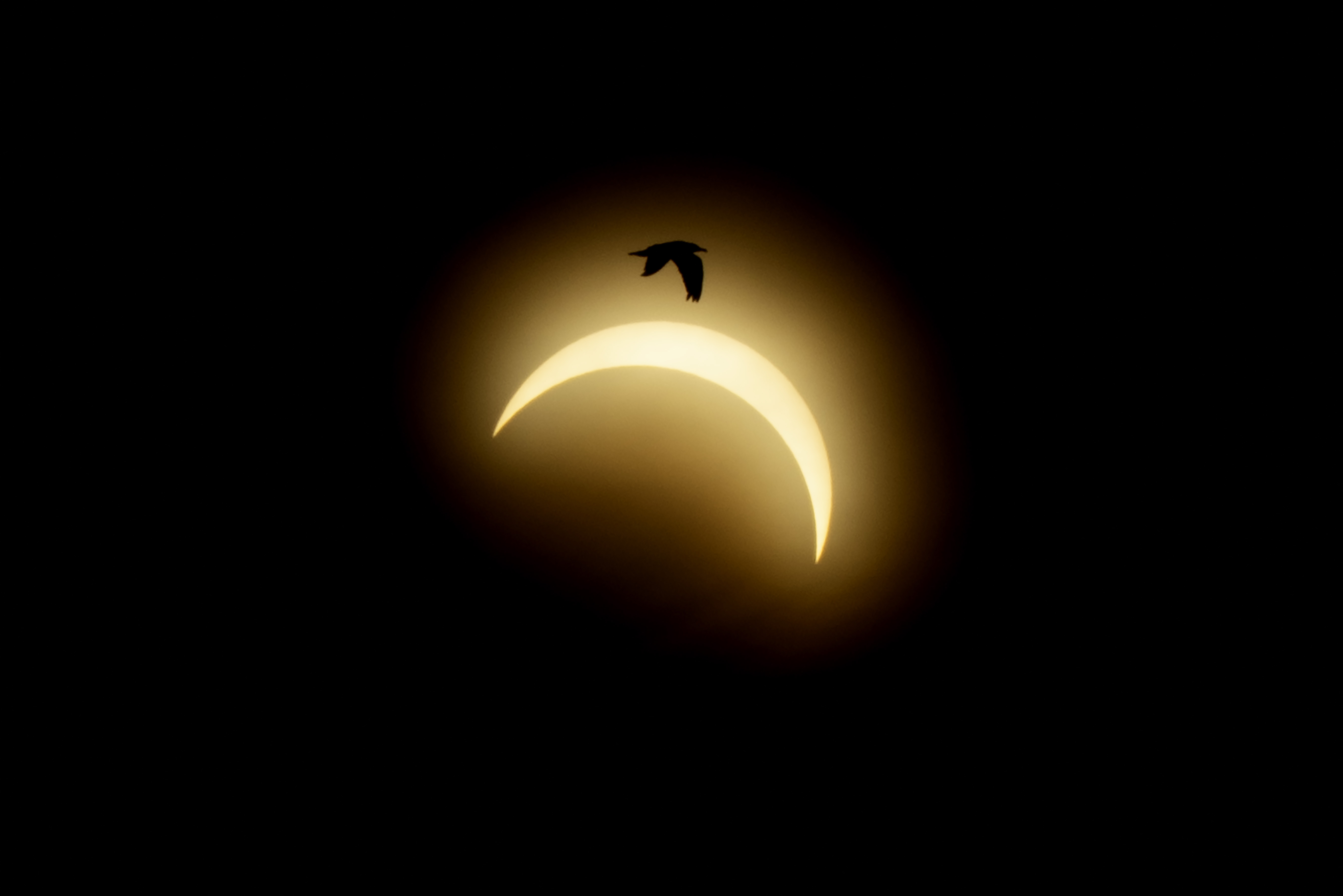 Le jour s’est transformé en nuit: L’éclipse solaire a émerveillé l'Europe et le Luxembourg