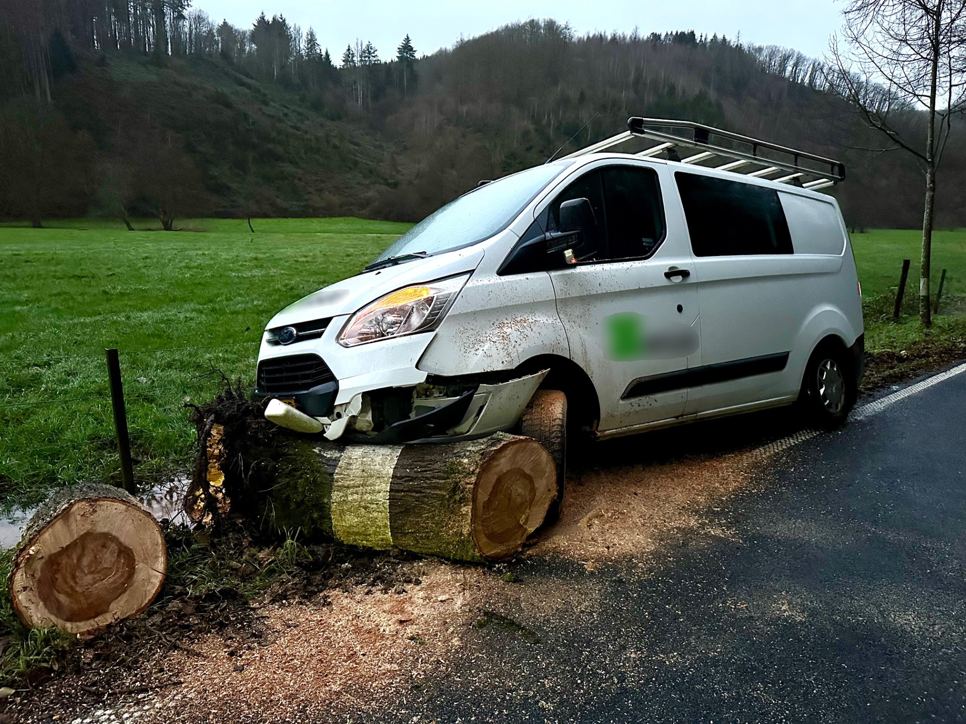 Unexpected obstacle: Driver escapes injury as tree falls right in front ...