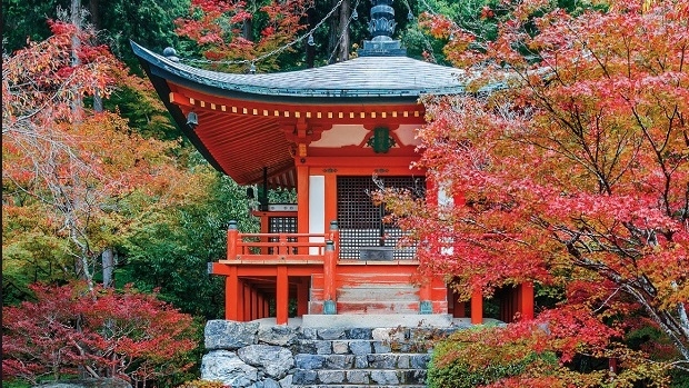 Den Trendsetter aus Asien: Matcha, Manga a Wasabi-Kitkat - de Japan-Hype