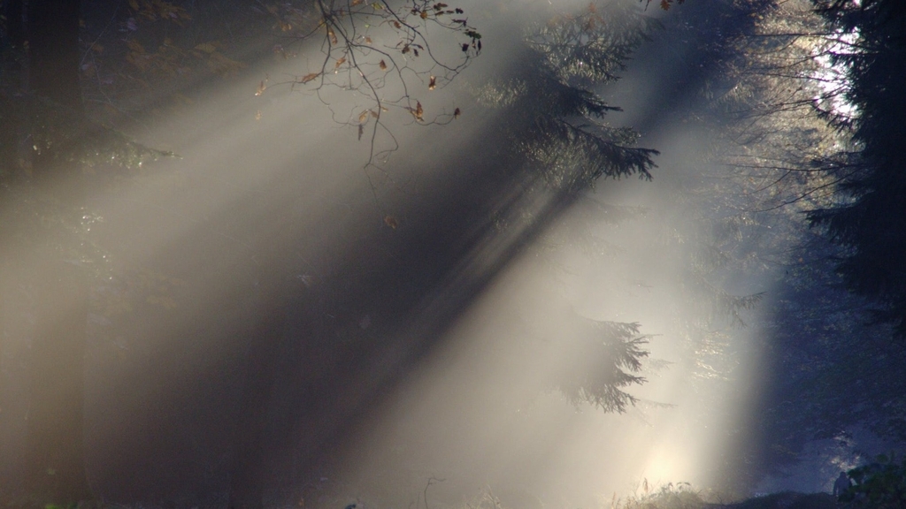 Weather & Traffic: Saturday 24 January: A foggy weekend