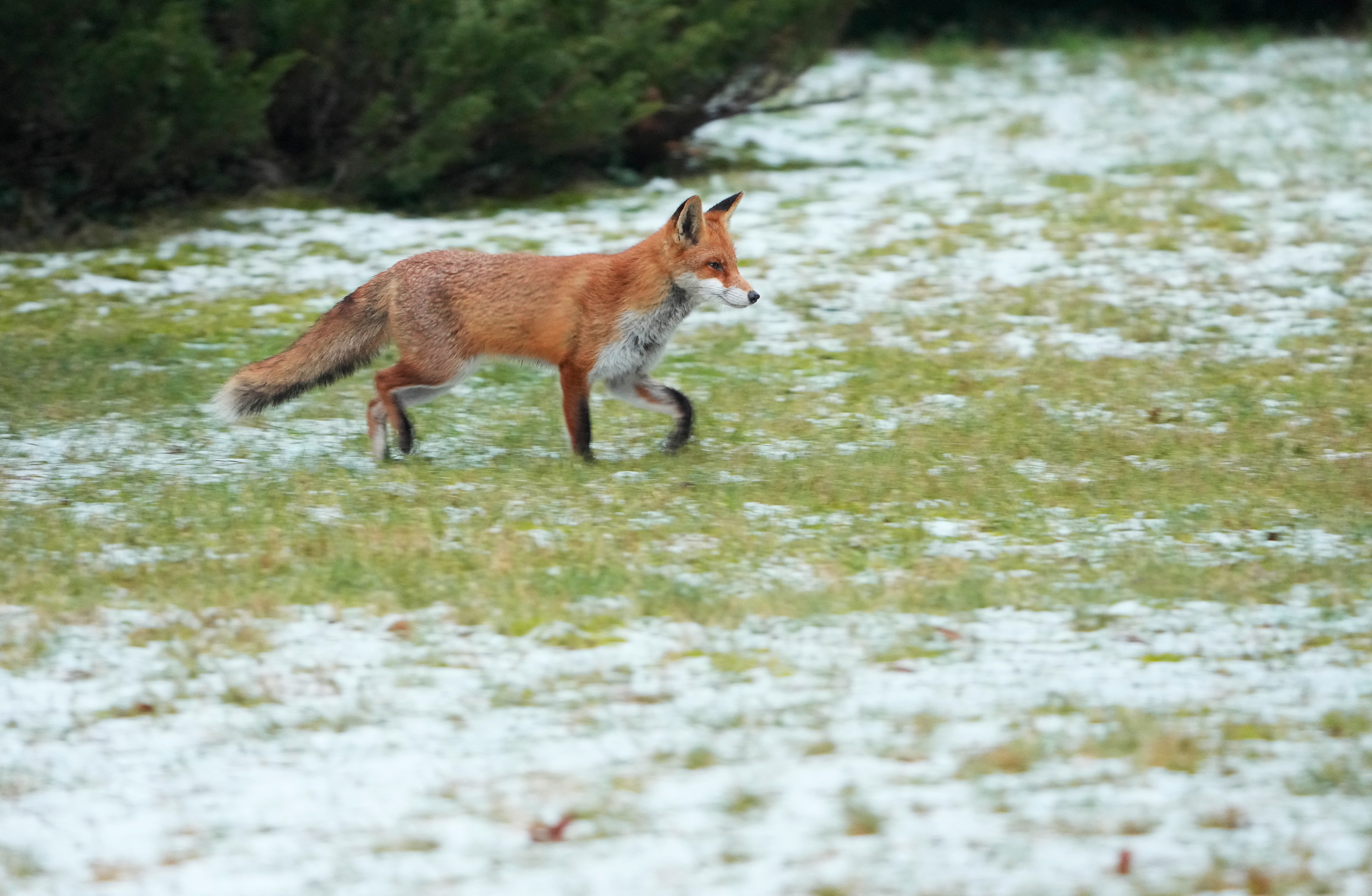 Rainfall deficit: Luxembourg winter warmer and drier than average, meteorological report finds