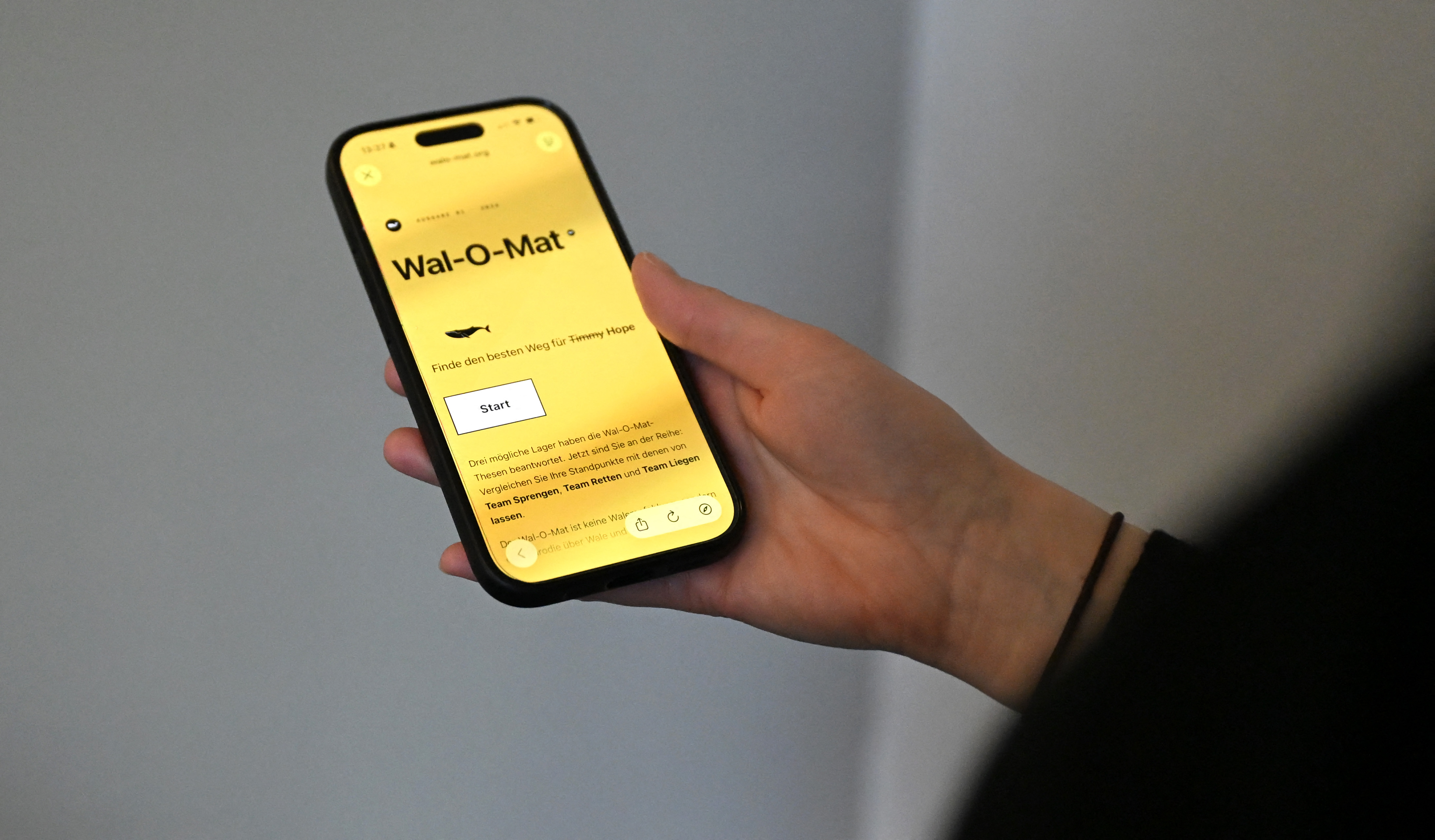 De Wal-O-Mat hëlleft: Wat soll mam Bockelwal Timmy geschéien?