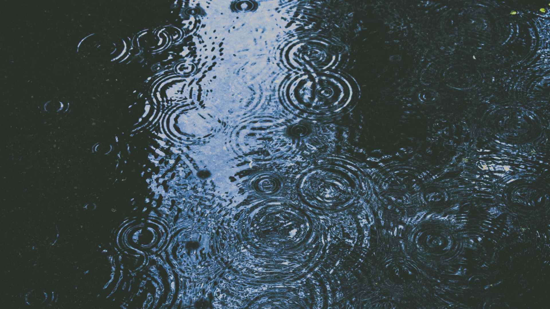 Weather & Traffic: Sunday 17 May: showers and clouds