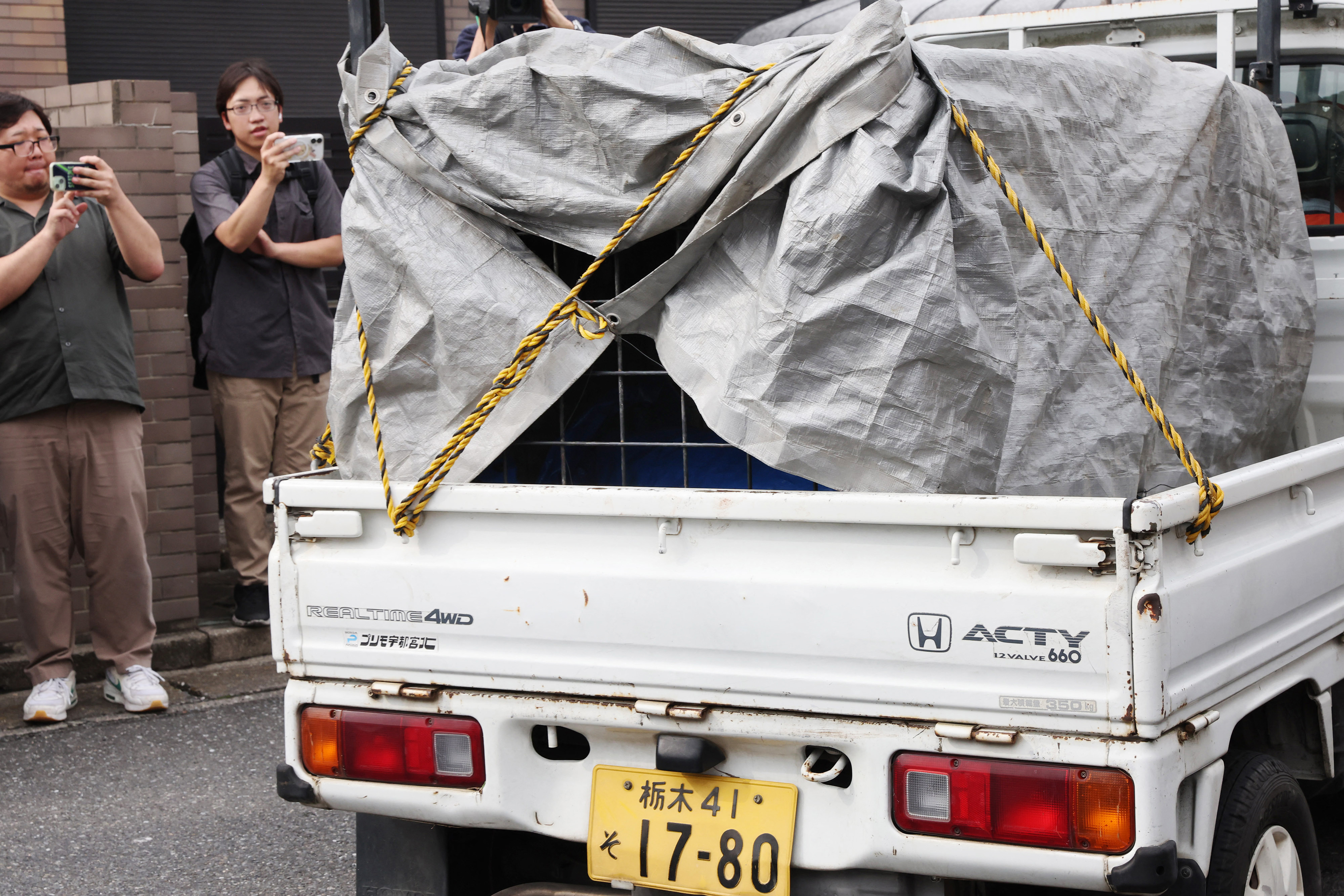Bierenalarm a Japan: Gefaangene Bier bei Tokio, en Aneren op
