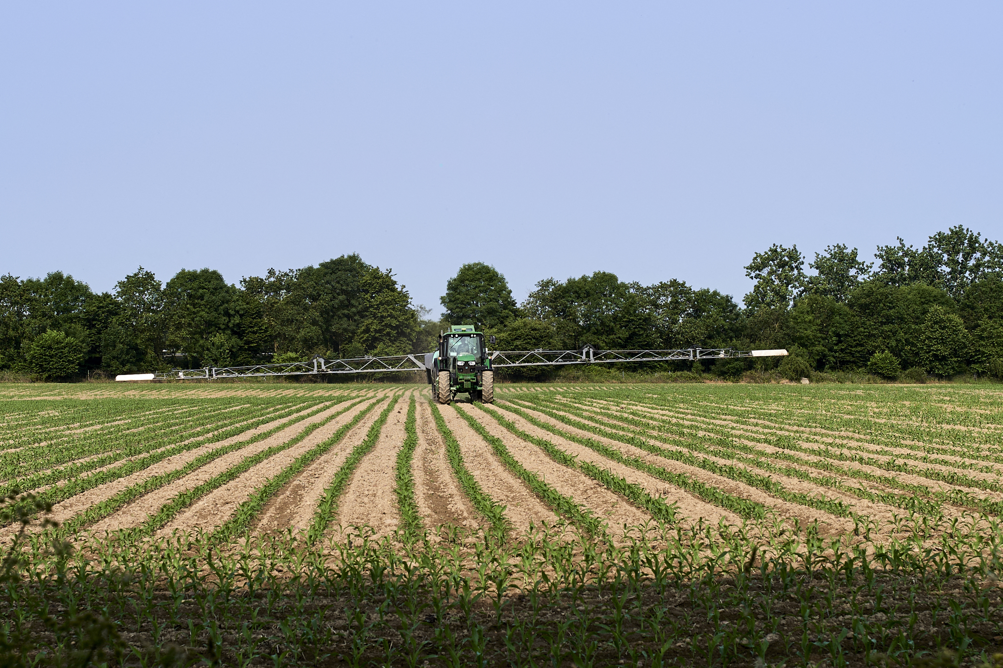 Following 'provocative' report: Chemist calls for nuance in Luxembourg's pesticide debate