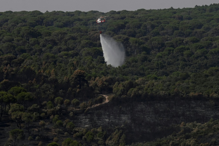 Incendies en Espagne: Sans reprises de feux, des dizaines de milliers d'évacués rentrent chez eux