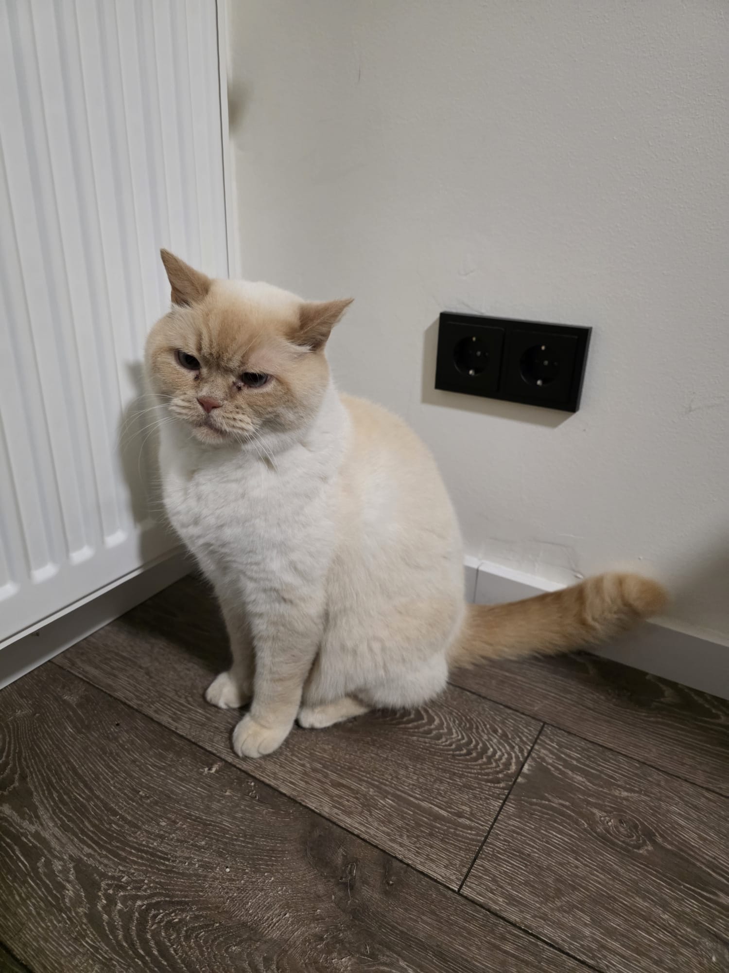 Däitschland: Pompjeeë wéinst Stroumausfall a Waasserschued geruff - Kaz hat 