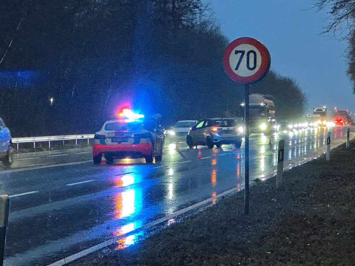 Storm disruption: Fallen trees block roads across Luxembourg on Friday