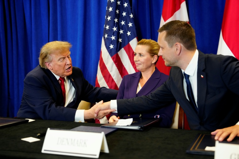 "Formidable": Trump annonce la construction de deux bases militaires au Groenland