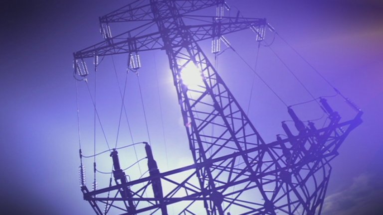 Power outage: Fallen tree cuts electricity in three Luxembourg municipalities