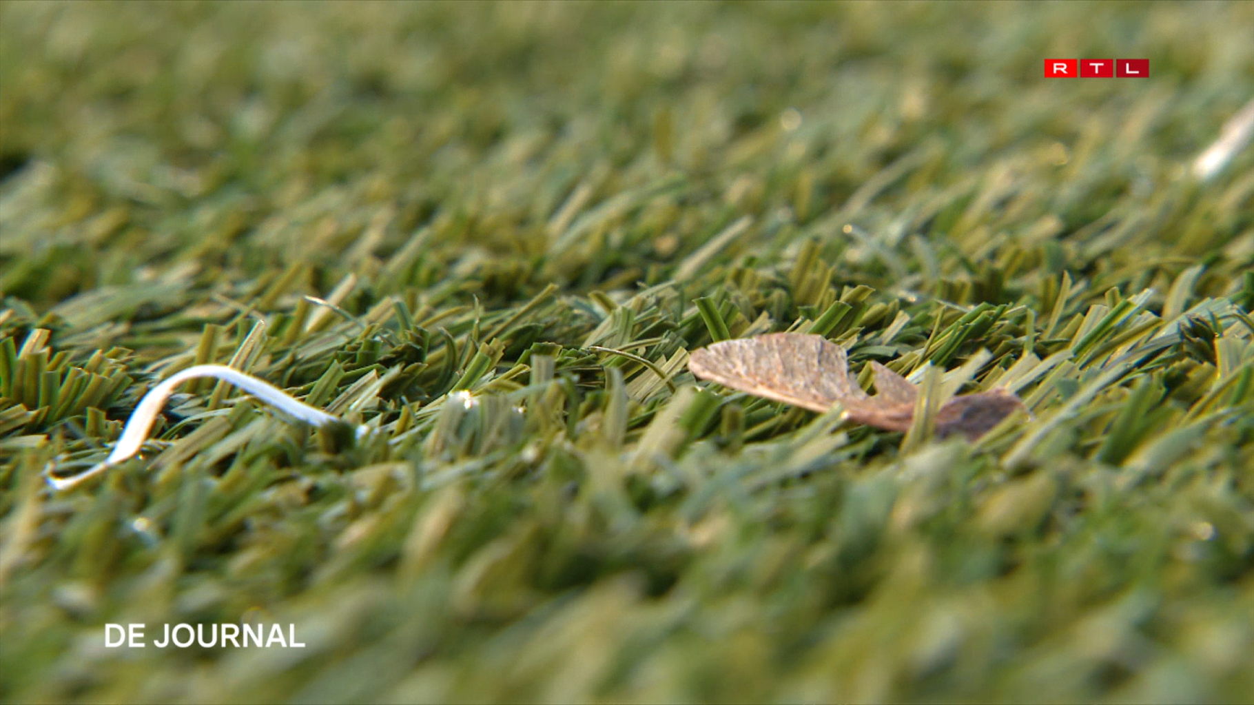 Artificial pitches: Green Party criticises government's 'disappointing' stance on polymer handling