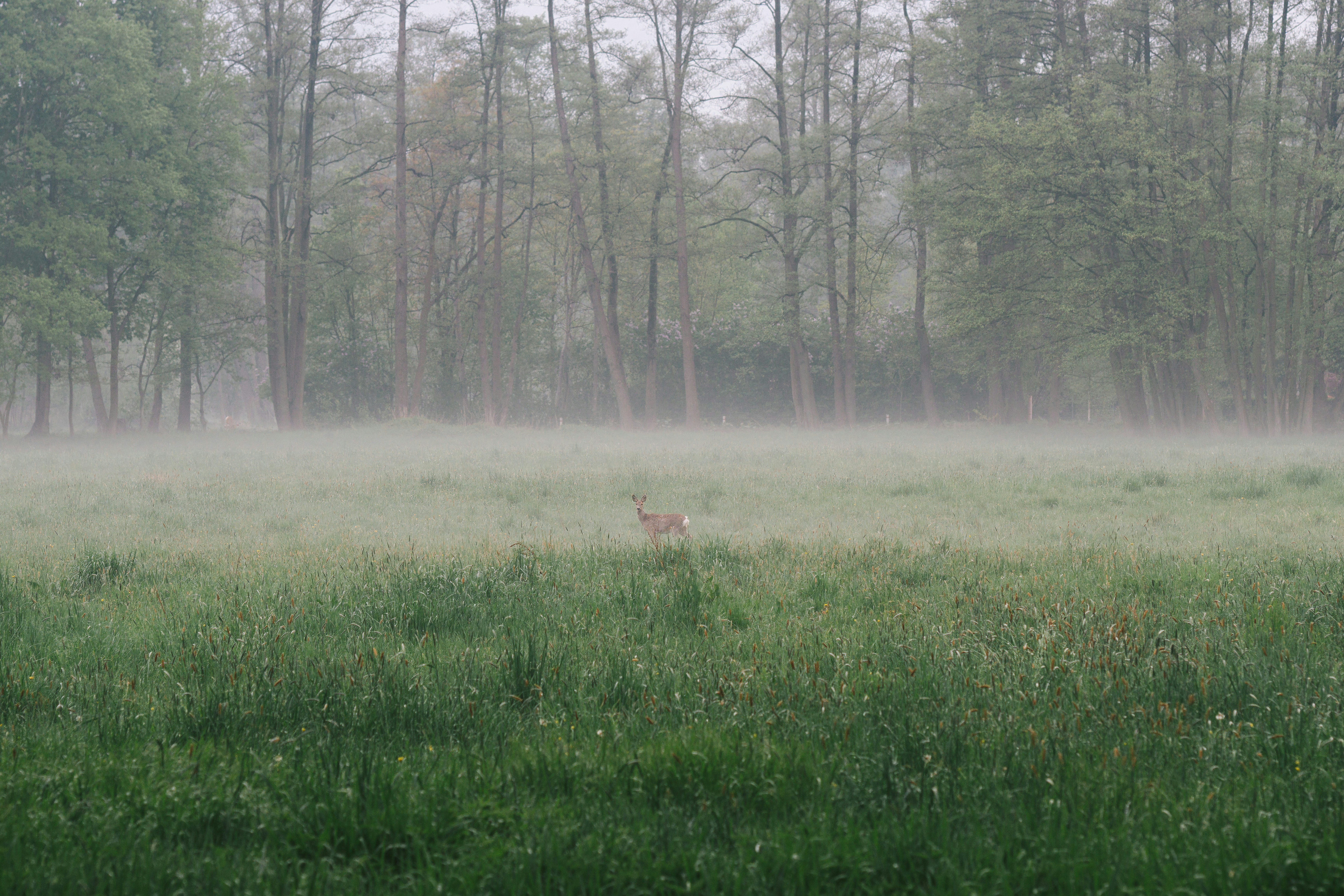 Weather & Traffic: Saturday 4 April: It's not even that cold anymore