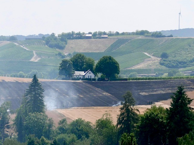 Pompjeeë konnte Schlëmmeres verhënneren: Vegetatiounsbrand e Samschdeg zu Stadbriedemes