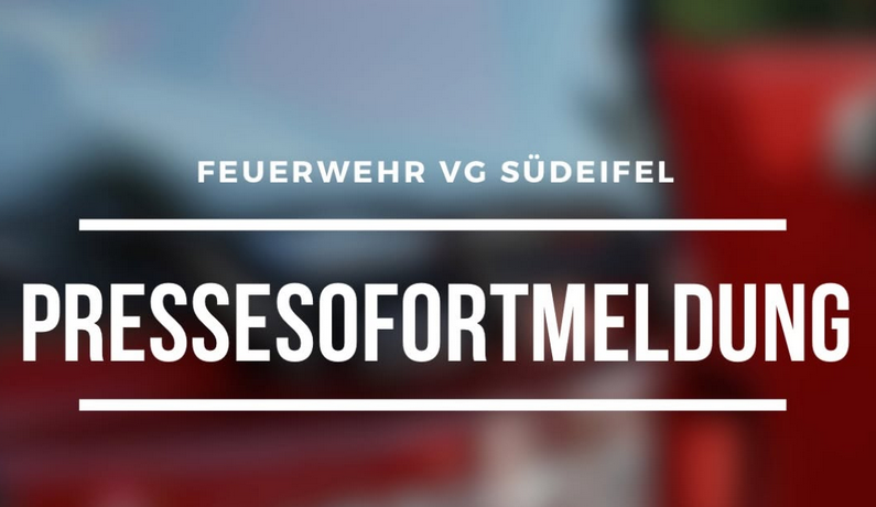 Op 1.000 Quadratmeter : Bëschbrand tëscht Bollendorf a Wallendorf an däitscher Südeifel
