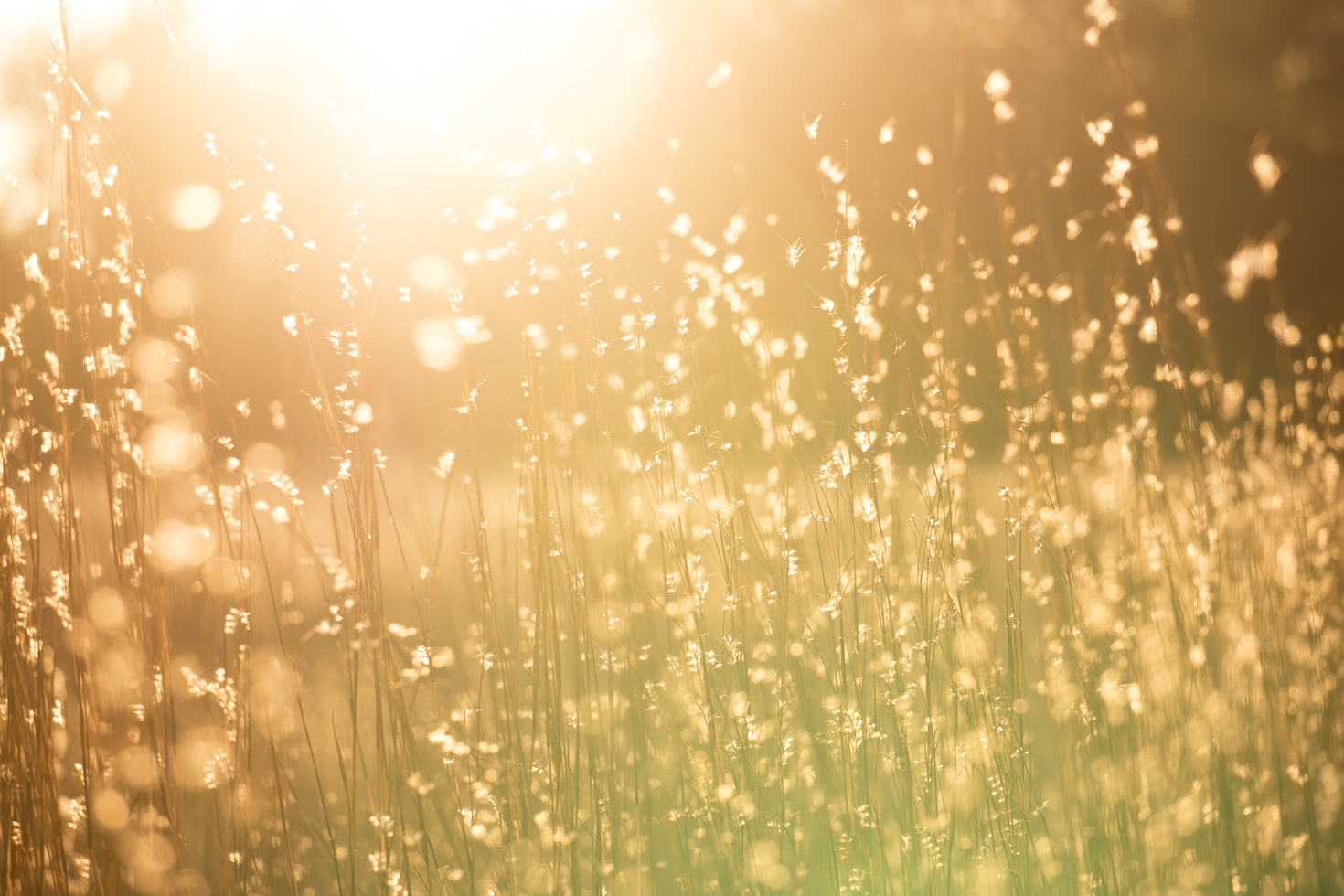 Weather & Traffic: Saturday 7 March: Things are heating up!