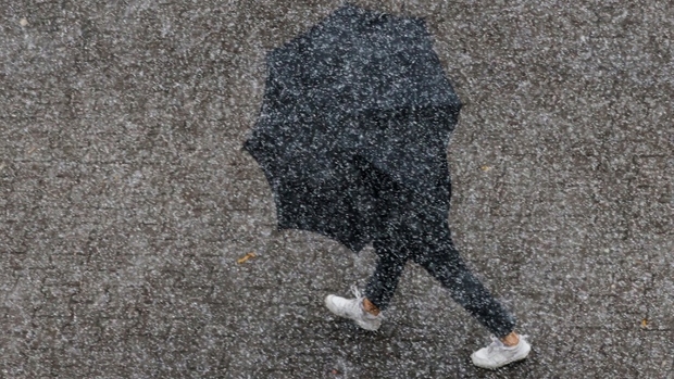 Weather & Traffic: Friday 30 January: Embrace the grey – this is our life now