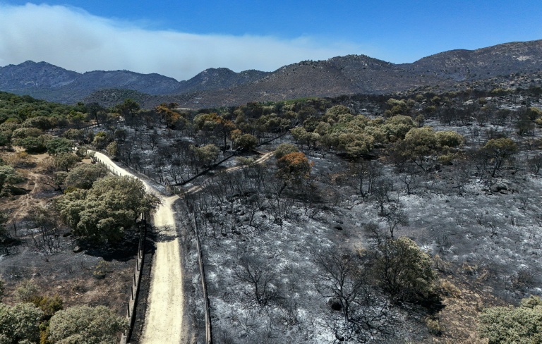 Incendies en Espagne: Des heures cruciales près de Madrid avant un changement de météo