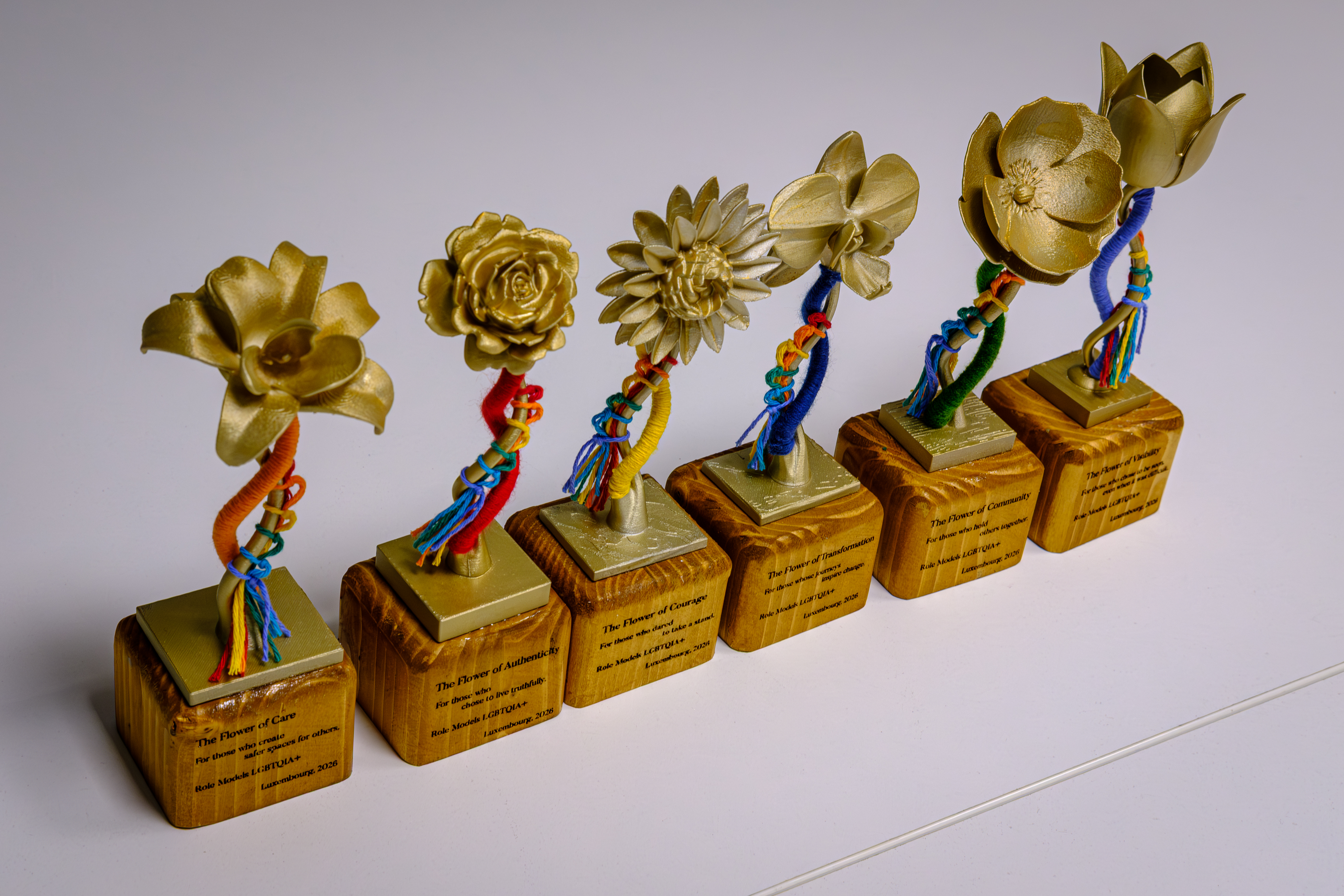 Community spotlight: Luxembourg selects LGBTQIA+ role models for European awards in Prague