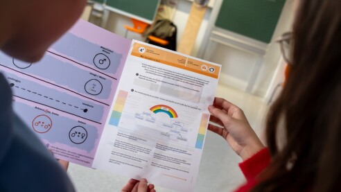 Debate and reality: The uneven path of LGBTQIA+ education in Luxembourg's schools