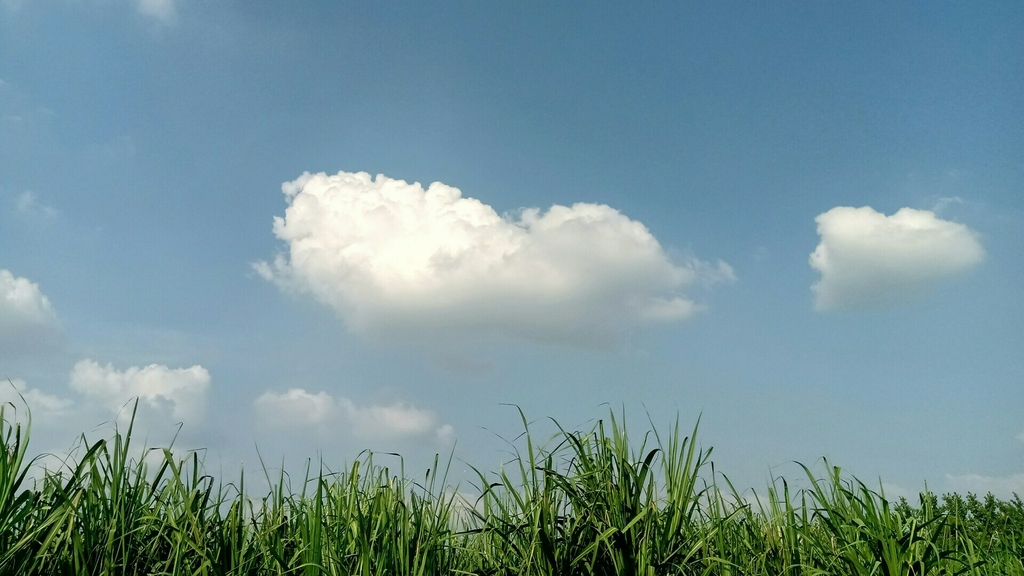 Weather & Traffic: Sunday 13 July: More sunshine and just a few clouds ...