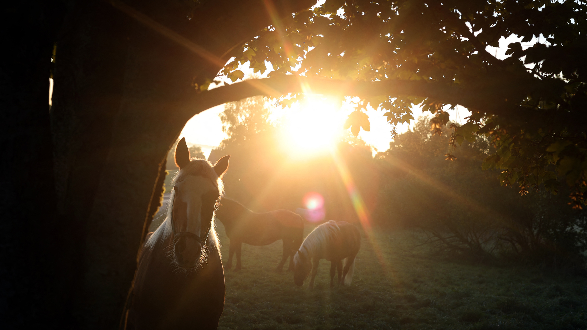 Weather & Traffic: Monday 25 May: sun's out, fun's out