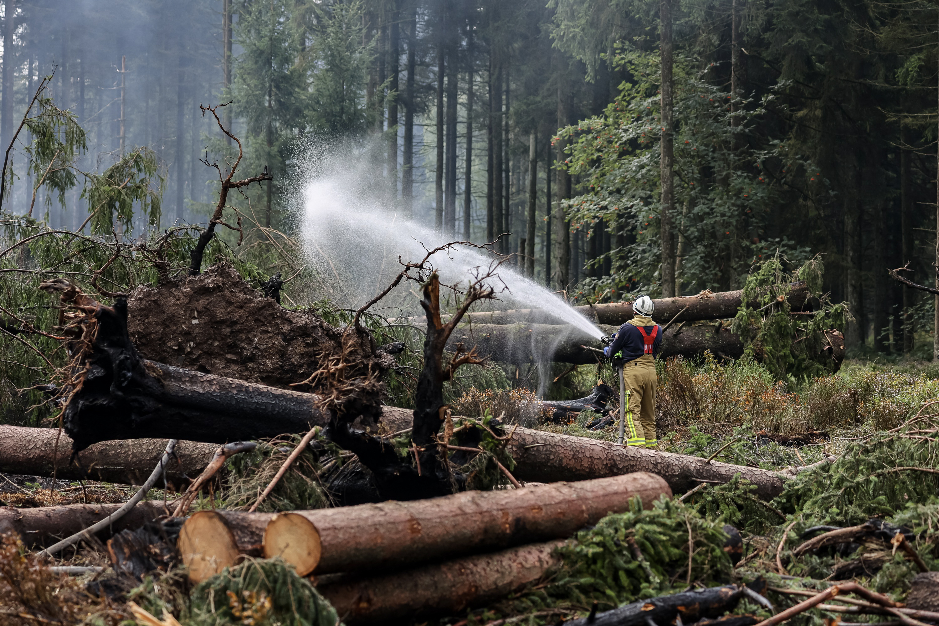 Belgique: L'incendie est "désormais contrôlé dans son ensemble"