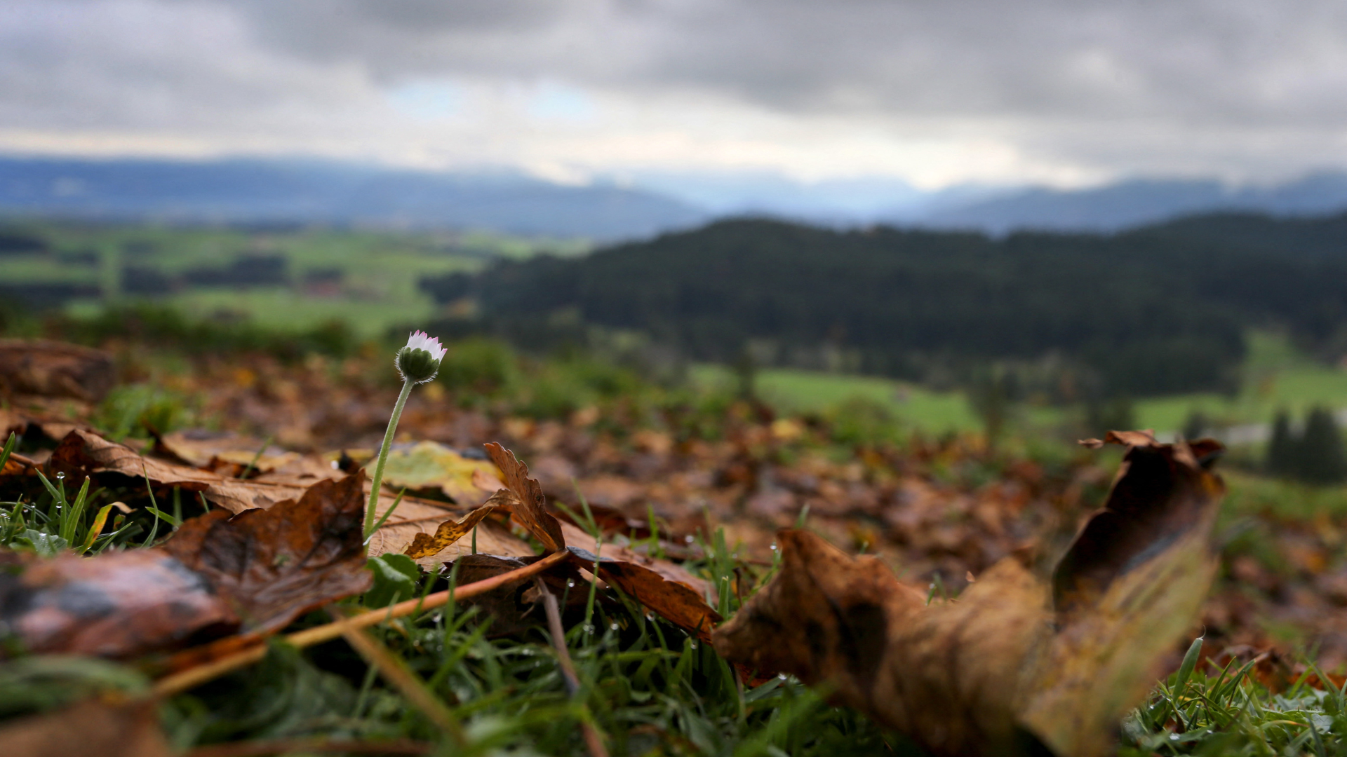 Weather & Traffic: Tuesday 16 December: cloudy with a side of clouds