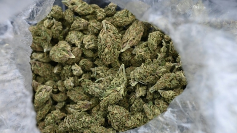 Worth €1.5 million: 250 kilos of cannabis seized by officials at Luxembourg Cargo Center