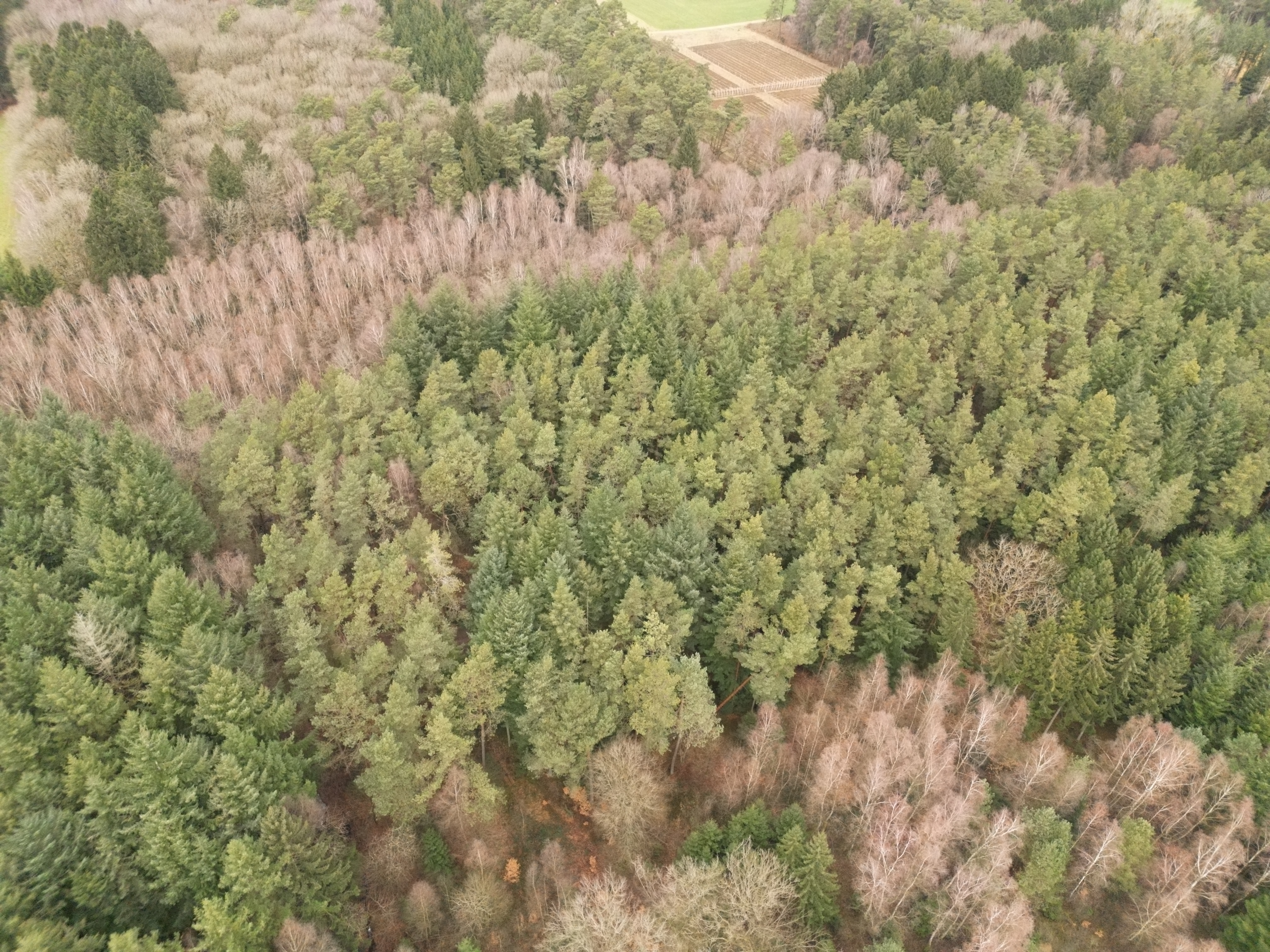 Amid climate change effects: Luxembourg association launches certificate to help owners care for private forests