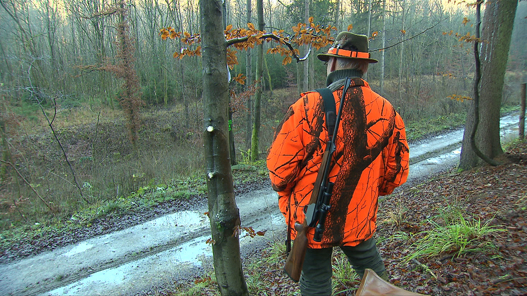 Plus de gibier dans l’Oesling: L’incendie des Hautes Fagnes et les loups en cause ?