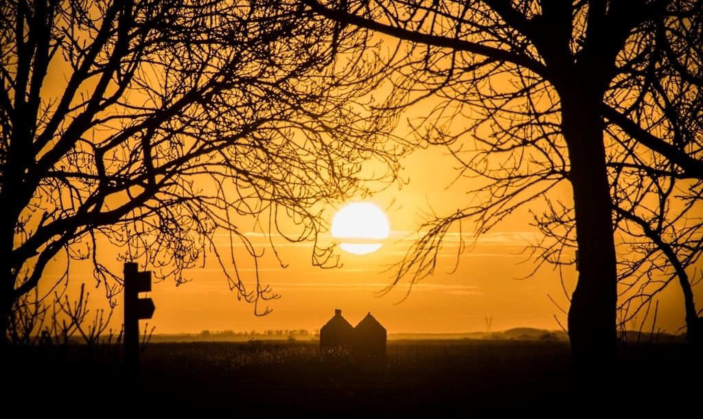A brief respite from the cold: Sunshine and temperatures up to 16°C expected this week