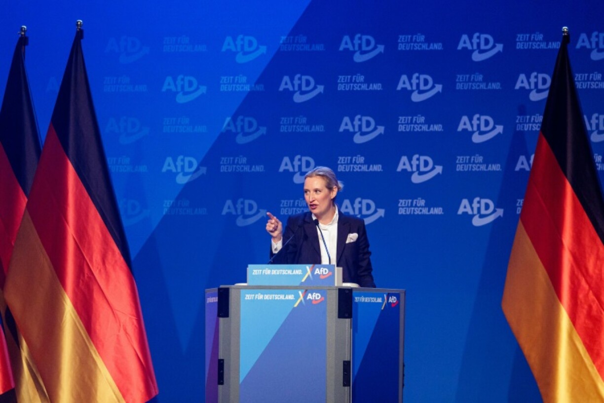 The Alternative for Germany (AfD) is now polling in second place at a record 20 percent