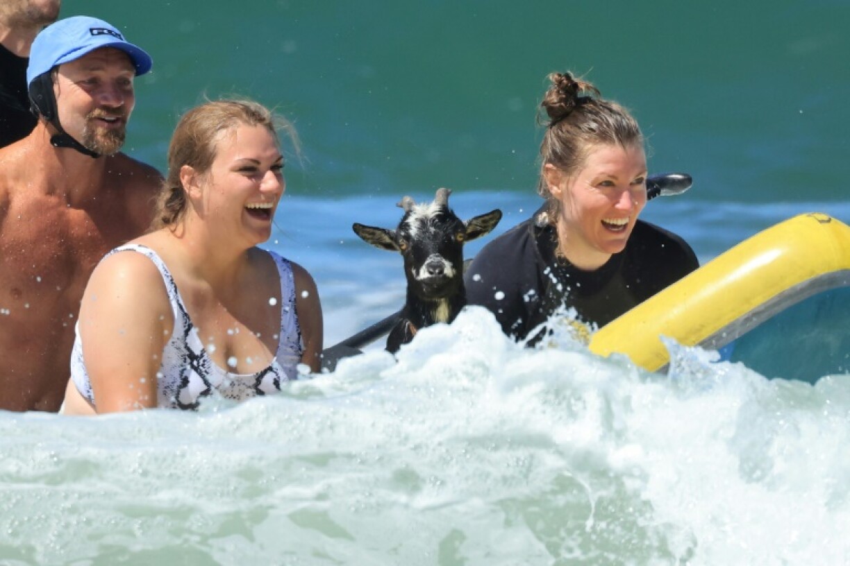 Elizabeth French (gauche) et Rebekah Abern (droite), surfent avec la chèvre Chupacabrah à Pismo Beach en Californie, le 29 août 2023