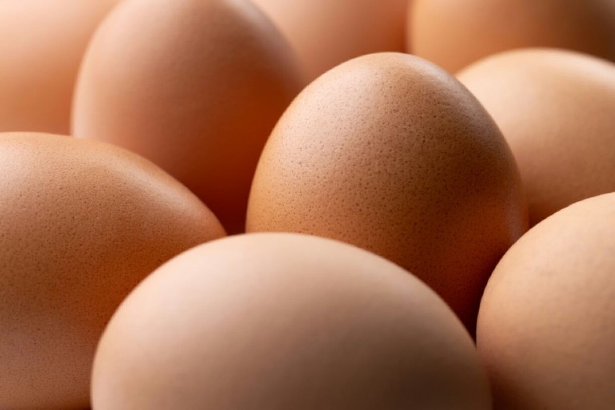 The import of Ukrainian eggs is causing cracks in unity
