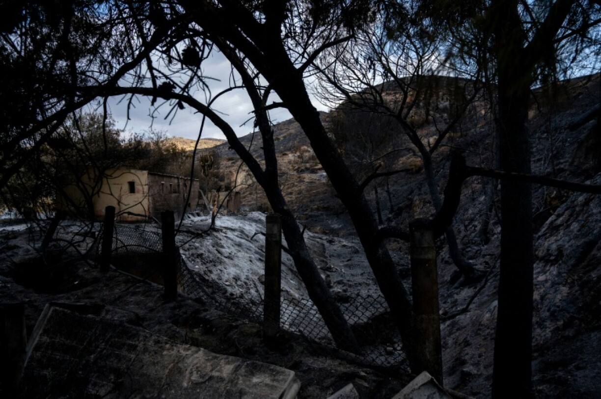 Sieben Todesopfer aus Großbritannien, drei aus Belgien und jeweils eines aus Frankreich, den USA und Spanien - das ist die Bilanz des verheerenden Waldbrands in Andalusien.