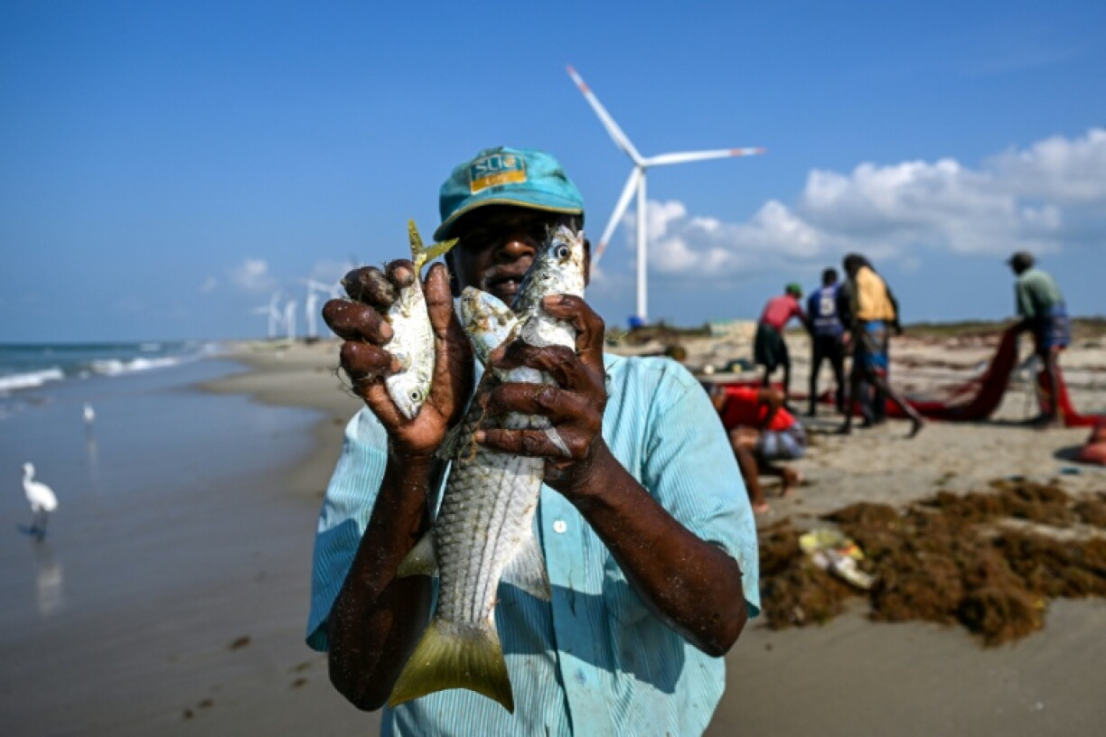 Fisherman complain of dwindling catches and smaller fish, which they believe is linked to the turbines