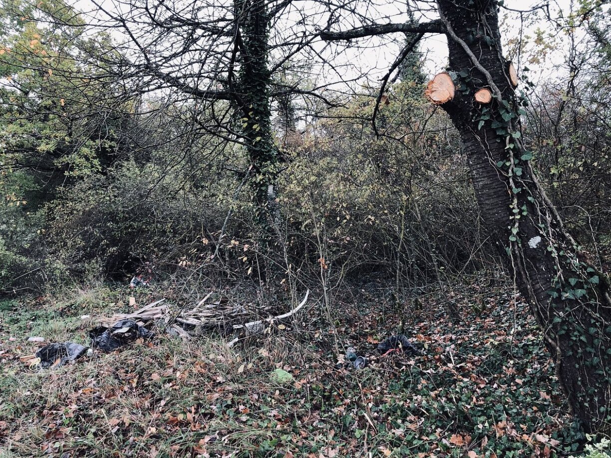 Les morceaux de corps avaient été découverts en bordure d'un chemin à Temmels en Rhénanie-Palatinat. À une soixantaine de kilomètres de Mont-Saint-Martin où avait été trouvé le corps démembrée de la Portugaise vivant au Luxembourg.